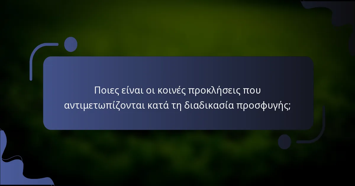 Ποιες είναι οι κοινές προκλήσεις που αντιμετωπίζονται κατά τη διαδικασία προσφυγής;