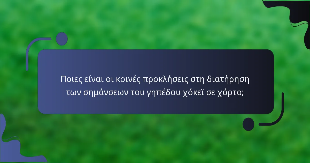 Ποιες είναι οι κοινές προκλήσεις στη διατήρηση των σημάνσεων του γηπέδου χόκεϊ σε χόρτο;