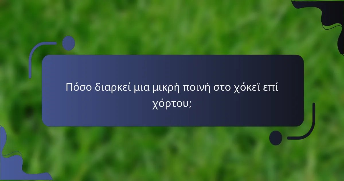 Πόσο διαρκεί μια μικρή ποινή στο χόκεϊ επί χόρτου;